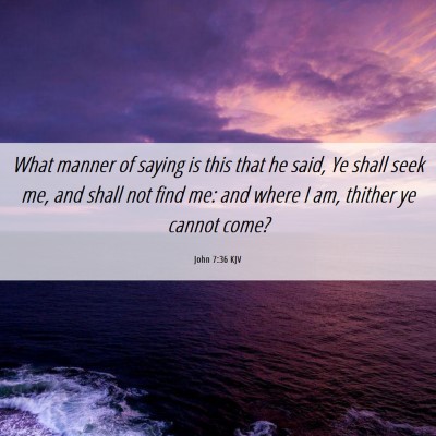 Picture 06 - John 7:36 KJV - What manner of saying is this that he said, Ye - Bible Verse Picture
