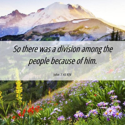 Picture 06 - John 7:43 KJV - So there was a division among the people because - Bible Verse Picture
