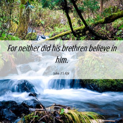 Picture 06 - John 7:5 KJV - For neither did his brethren believe in - Bible Verse Picture