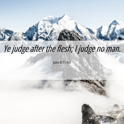 Picture 06 - John 8:15 KJV - Ye judge after the flesh; I judge no - Bible Verse Picture
