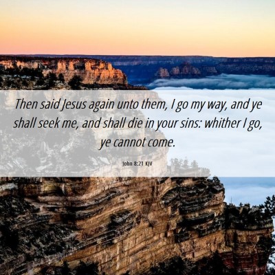 Picture 06 - John 8:21 KJV - Then said Jesus again unto them, I go my way, and - Bible Verse Picture