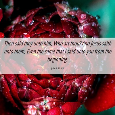 Picture 06 - John 8:25 KJV - Then said they unto him, Who art thou? And Jesus - Bible Verse Picture