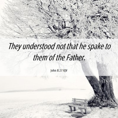 Picture 06 - John 8:27 KJV - They understood not that he spake to them of the - Bible Verse Picture