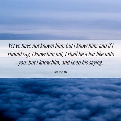 Picture 06 - John 8:55 KJV - Yet ye have not known him; but I know him: and if - Bible Verse Picture