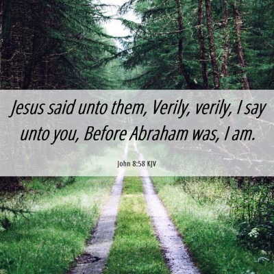 Picture 06 - John 8:58 KJV - Jesus said unto them, Verily, verily, I say unto - Bible Verse Picture