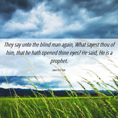 Picture 06 - John 9:17 KJV - They say unto the blind man again, What sayest - Bible Verse Picture