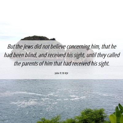Picture 06 - John 9:18 KJV - But the Jews did not believe concerning him, that - Bible Verse Picture