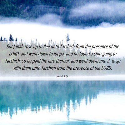Picture 06 - Jonah 1:3 KJV - But Jonah rose up to flee unto Tarshish from the - Bible Verse Picture