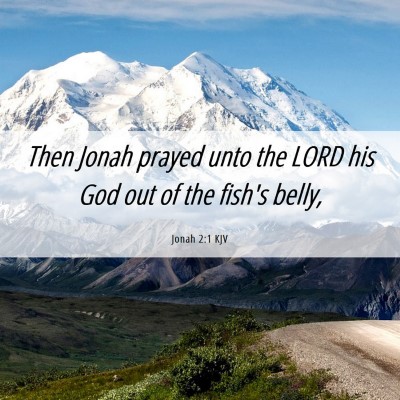 Picture 06 - Jonah 2:1 KJV - Then Jonah prayed unto the LORD his God out of - Bible Verse Picture