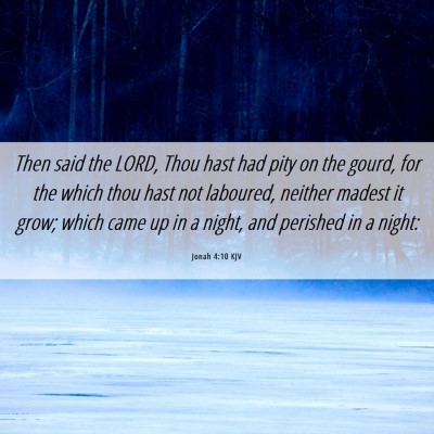 Picture 06 - Jonah 4:10 KJV - Then said the LORD, Thou hast had pity on the - Bible Verse Picture