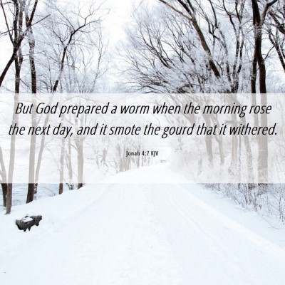 Picture 06 - Jonah 4:7 KJV - But God prepared a worm when the morning rose the - Bible Verse Picture