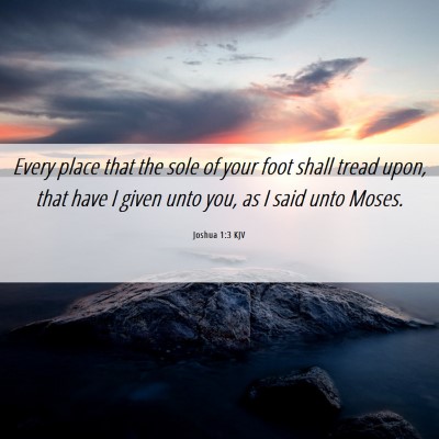 Picture 06 - Joshua 1:3 KJV - Every place that the sole of your foot shall - Bible Verse Picture