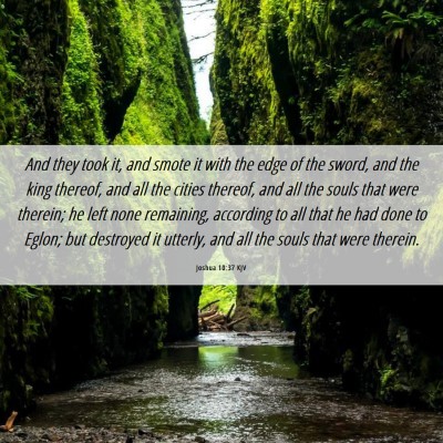 Picture 06 - Joshua 10:37 KJV - And they took it, and smote it with the edge of - Bible Verse Picture