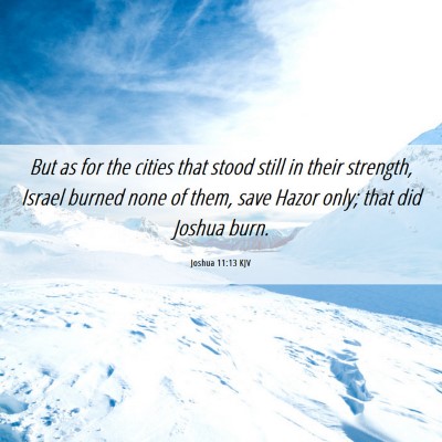 Picture 06 - Joshua 11:13 KJV - But as for the cities that stood still in their - Bible Verse Picture