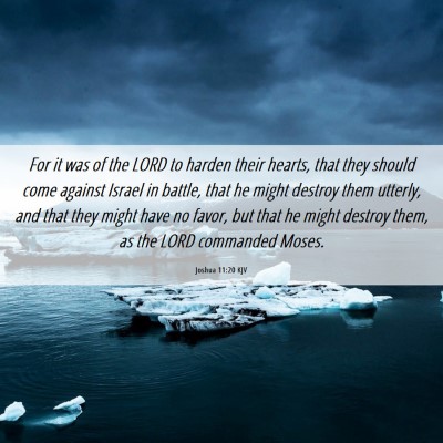 Picture 06 - Joshua 11:20 KJV - For it was of the LORD to harden their hearts, - Bible Verse Picture