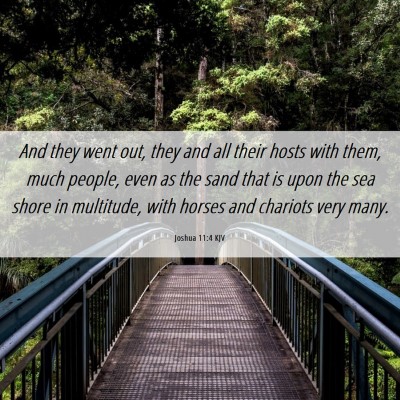 Picture 06 - Joshua 11:4 KJV - And they went out, they and all their hosts with - Bible Verse Picture