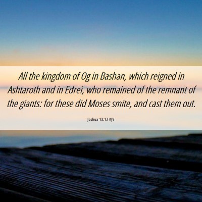 Picture 06 - Joshua 13:12 KJV - All the kingdom of Og in Bashan, which reigned in - Bible Verse Picture