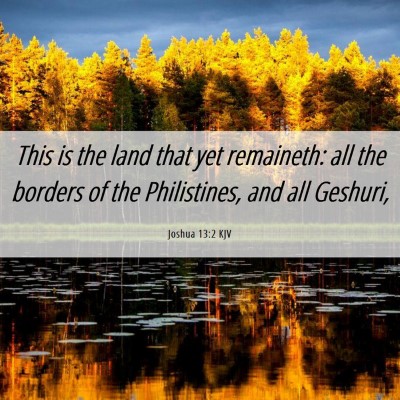 Picture 06 - Joshua 13:2 KJV - This is the land that yet remaineth: all the - Bible Verse Picture