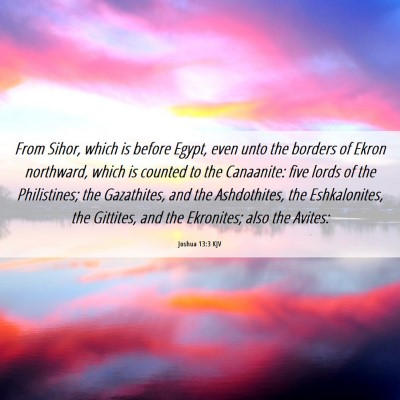 Picture 06 - Joshua 13:3 KJV - From Sihor, which is before Egypt, even unto the - Bible Verse Picture