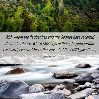 Picture 06 - Joshua 13:8 KJV - With whom the Reubenites and the Gadites have - Bible Verse Picture