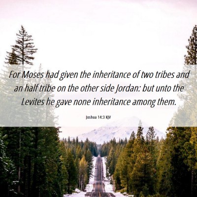 Picture 06 - Joshua 14:3 KJV - For Moses had given the inheritance of two tribes - Bible Verse Picture