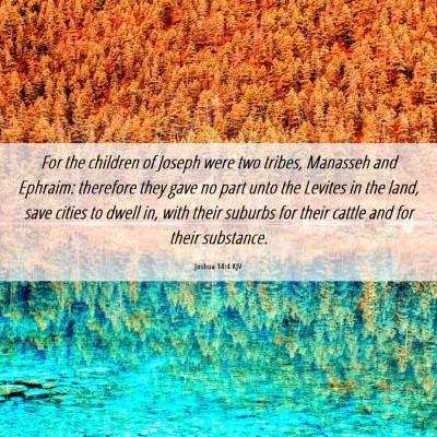 Picture 06 - Joshua 14:4 KJV - For the children of Joseph were two tribes, - Bible Verse Picture