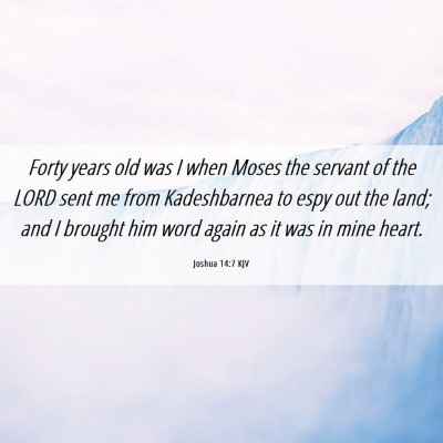 Picture 06 - Joshua 14:7 KJV - Forty years old was I when Moses the servant of - Bible Verse Picture