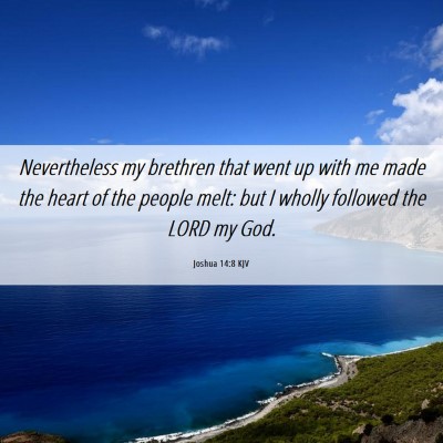 Picture 06 - Joshua 14:8 KJV - Nevertheless my brethren that went up with me - Bible Verse Picture
