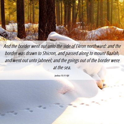 Picture 06 - Joshua 15:11 KJV - And the border went out unto the side of Ekron - Bible Verse Picture