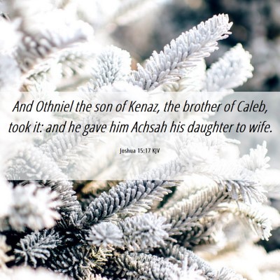 Picture 06 - Joshua 15:17 KJV - And Othniel the son of Kenaz, the brother of - Bible Verse Picture