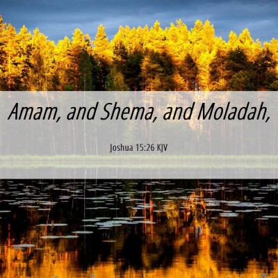 Picture 06 - Joshua 15:26 KJV - Amam, and Shema, and - Bible Verse Picture