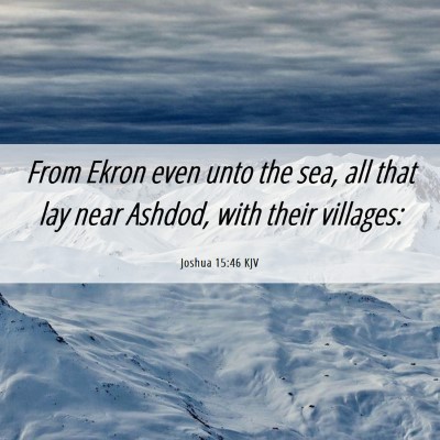 Picture 06 - Joshua 15:46 KJV - From Ekron even unto the sea, all that lay near - Bible Verse Picture