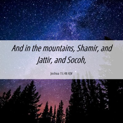 Picture 06 - Joshua 15:48 KJV - And in the mountains, Shamir, and Jattir, and - Bible Verse Picture