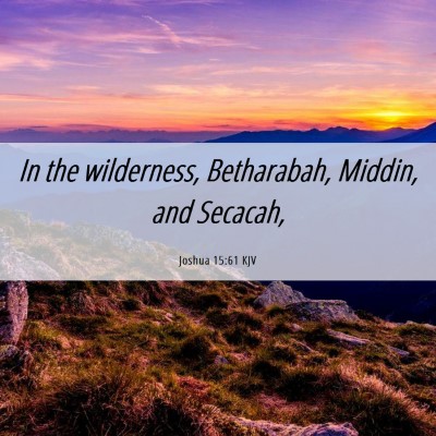 Picture 06 - Joshua 15:61 KJV - In the wilderness, Betharabah, Middin, and - Bible Verse Picture