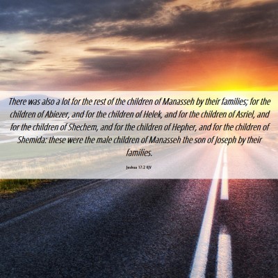 Picture 06 - Joshua 17:2 KJV - There was also a lot for the rest of the children - Bible Verse Picture