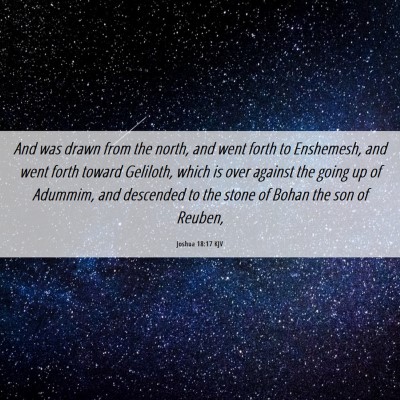 Picture 06 - Joshua 18:17 KJV - And was drawn from the north, and went forth to - Bible Verse Picture