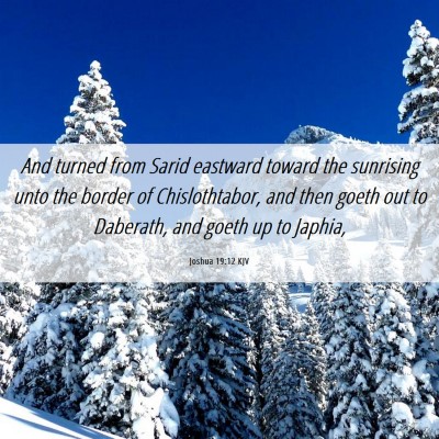 Picture 06 - Joshua 19:12 KJV - And turned from Sarid eastward toward the - Bible Verse Picture