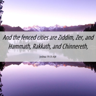 Picture 06 - Joshua 19:35 KJV - And the fenced cities are Ziddim, Zer, and - Bible Verse Picture
