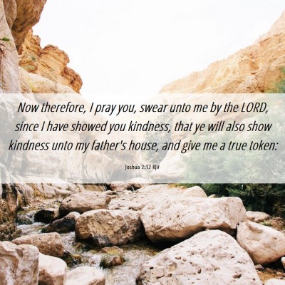 Picture 06 - Joshua 2:12 KJV - Now therefore, I pray you, swear unto me by the - Bible Verse Picture