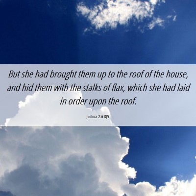 Picture 06 - Joshua 2:6 KJV - But she had brought them up to the roof of the - Bible Verse Picture