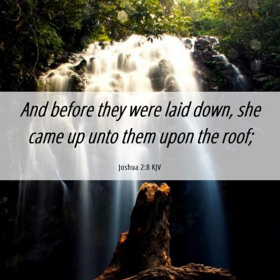 Picture 06 - Joshua 2:8 KJV - And before they were laid down, she came up unto - Bible Verse Picture