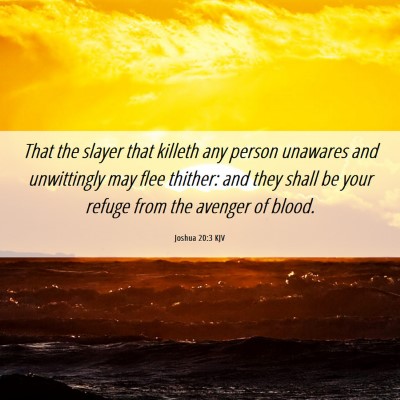 Picture 06 - Joshua 20:3 KJV - That the slayer that killeth any person unawares - Bible Verse Picture
