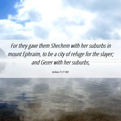 Picture 06 - Joshua 21:21 KJV - For they gave them Shechem with her suburbs in - Bible Verse Picture