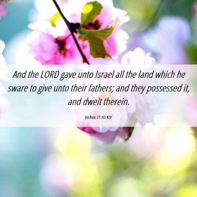 Picture 06 - Joshua 21:43 KJV - And the LORD gave unto Israel all the land which - Bible Verse Picture