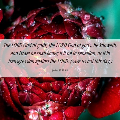 Picture 06 - Joshua 22:22 KJV - The LORD God of gods, the LORD God of gods, he - Bible Verse Picture
