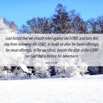 Picture 06 - Joshua 22:29 KJV - God forbid that we should rebel against the LORD, - Bible Verse Picture