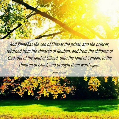 Picture 06 - Joshua 22:32 KJV - And Phinehas the son of Eleazar the priest, and - Bible Verse Picture