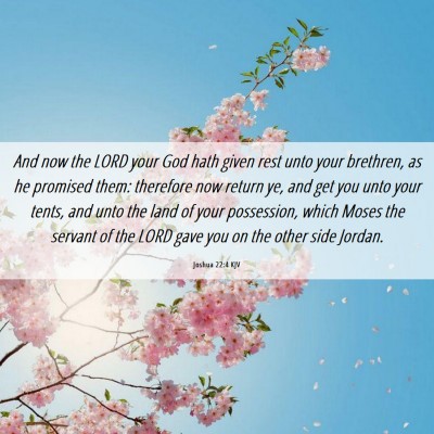 Picture 06 - Joshua 22:4 KJV - And now the LORD your God hath given rest unto - Bible Verse Picture