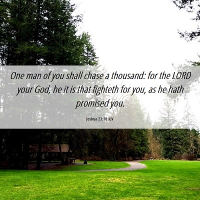 Picture 06 - Joshua 23:10 KJV - One man of you shall chase a thousand: for the - Bible Verse Picture