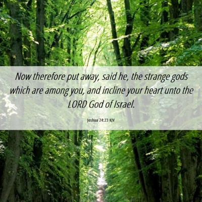Picture 06 - Joshua 24:23 KJV - Now therefore put away, said he, the strange gods - Bible Verse Picture